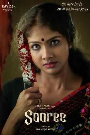 Saaree 2025 Hindi Dual Audio WEB-DL 720p - 480p - 1080p